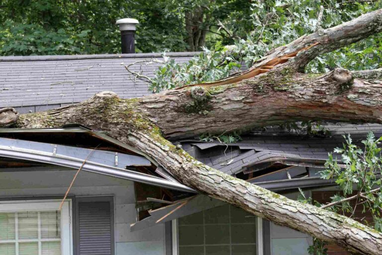 Fallen tree damaging residential roof during storm, requiring emergency storm damage restoration services in Staten Island, NY